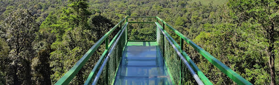 coorg places to visit glass bridge