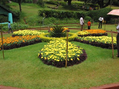 ooty bandipur tour package
