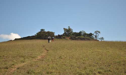 mullayanagiri trek steps