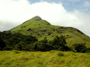 wayanad tour package from mysore