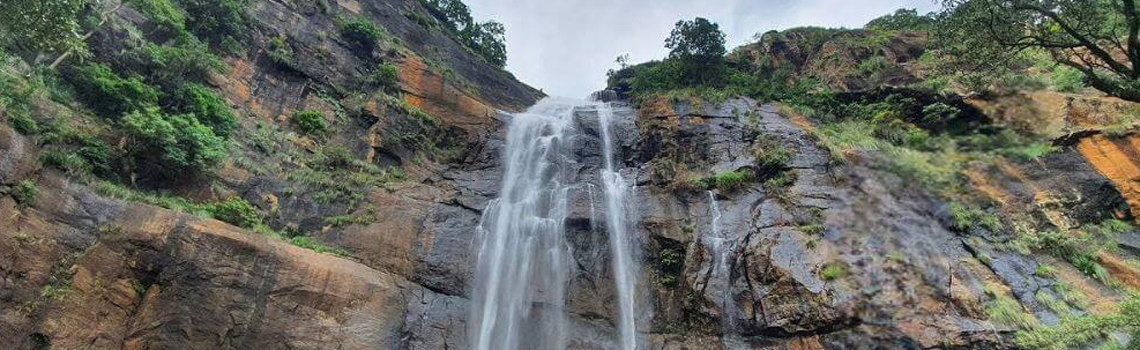 Agaya Gangai Falls