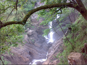 Agaya Gangi Falls