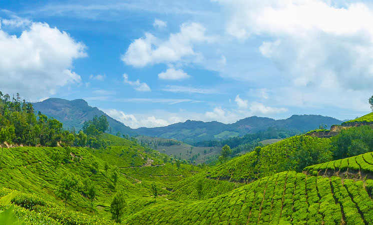 Anamudi Mountain peak