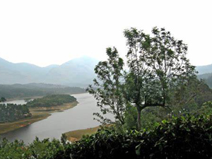 Anayirankal dam