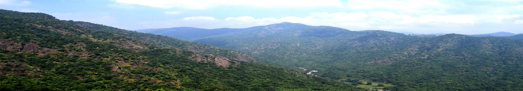 Araku Valley