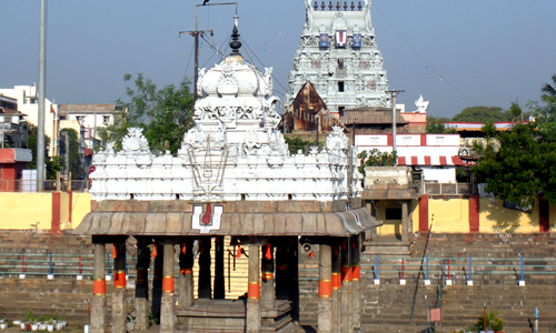 Arulmigu Thiruvallikeni Parthasarathy Temple