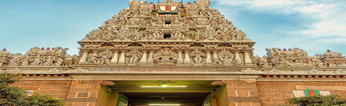 Arulmigu Thiruvallikeni Parthasarathy Temple