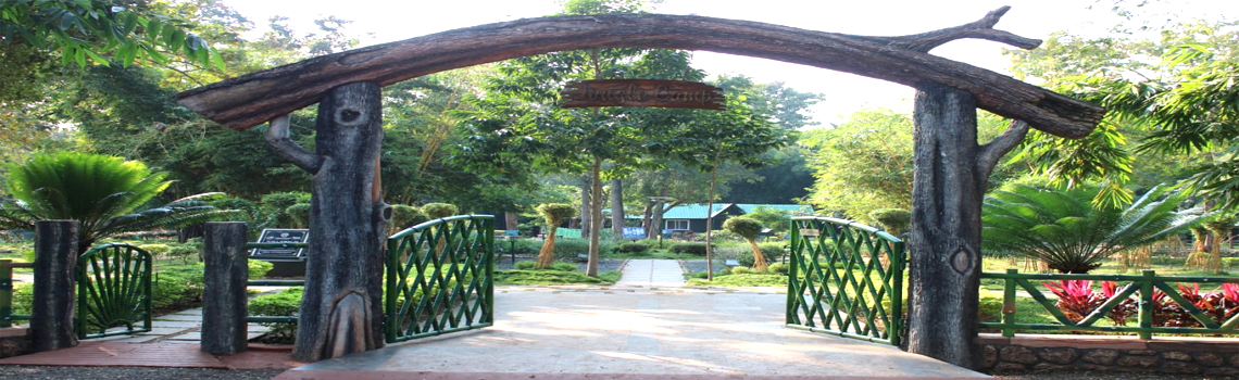 Bairluty Jungle Camp