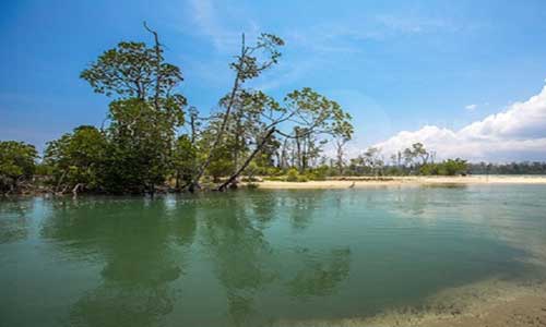 Baratang Island