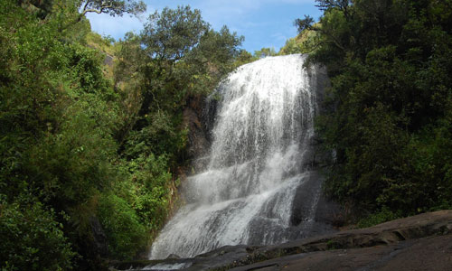 Bear shola falls