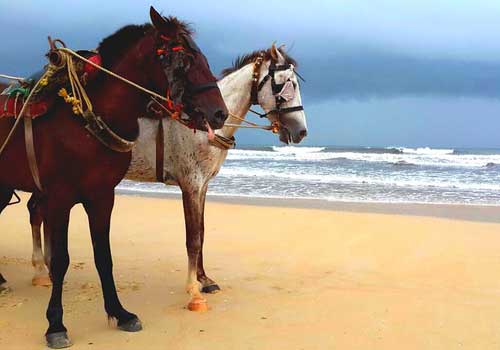 Bekal Fort Beach