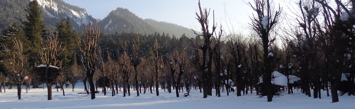 Betaab valley