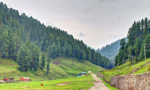 Bhaderwah