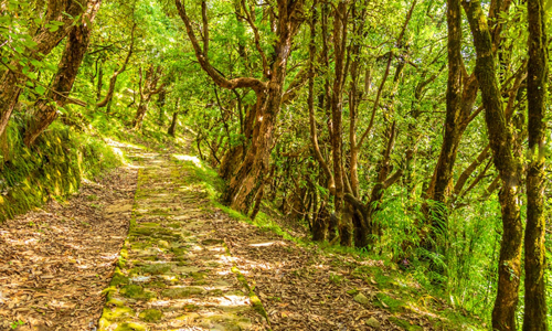 Binsar Wildlife Sanctuary