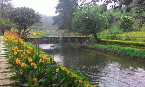 Blossom Hydel Park Munnar