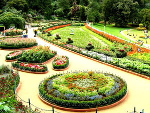 Botanical Garden Ooty