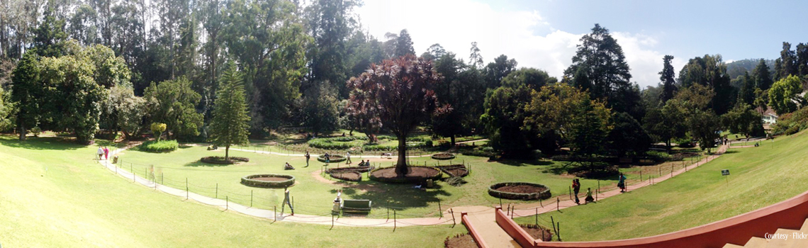 Botanical Garden Ooty