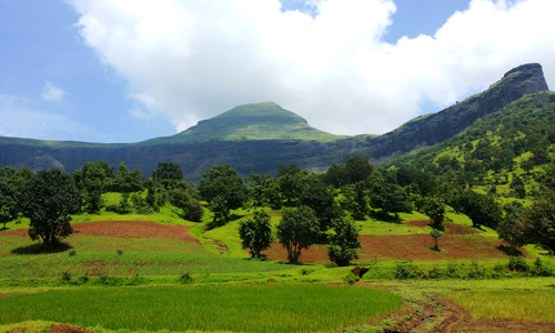Brahmagiri