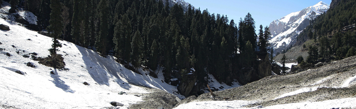 Chandanwari Valley