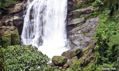 Cheeyappara Waterfalls 