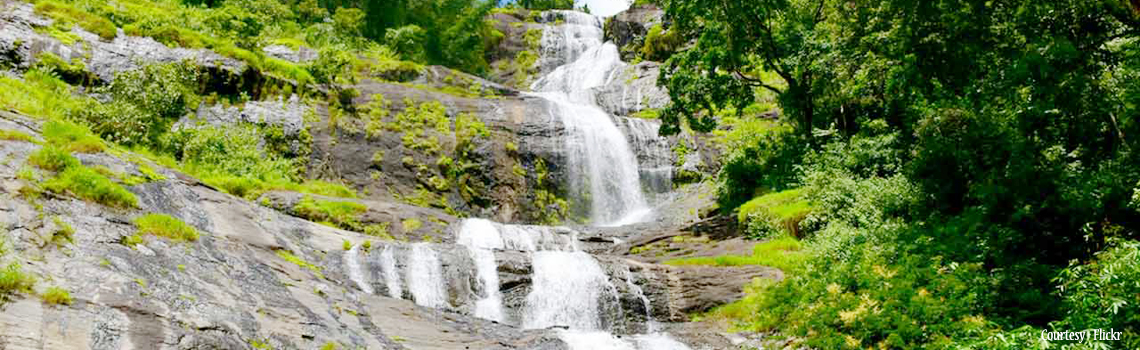 Cheeyappara Waterfalls 