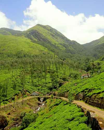 Chembra Peak