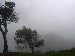 Chikmagalur