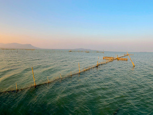 Chilika