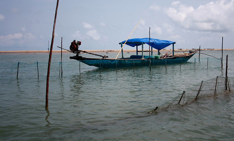 Chilika Lake