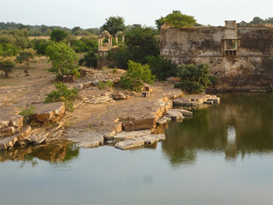 Chittorgarh Fort