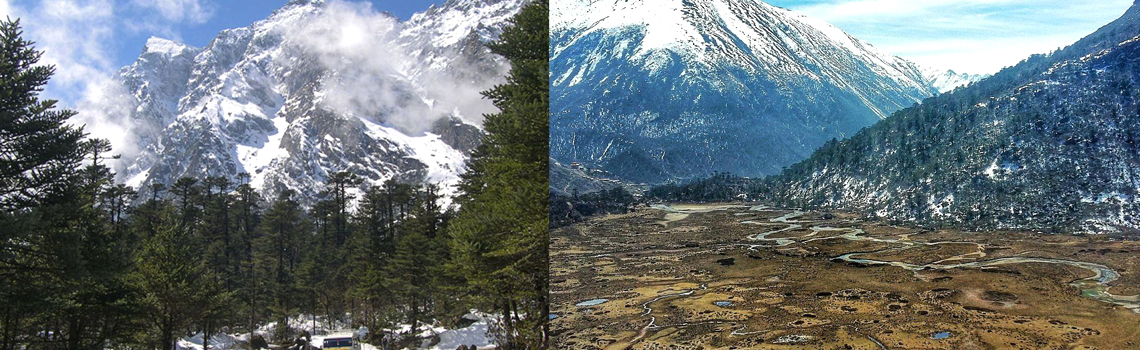 Chopta Valley