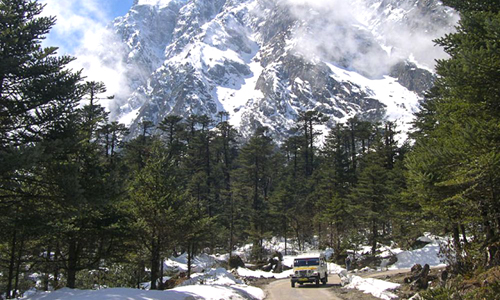 Chopta Valley