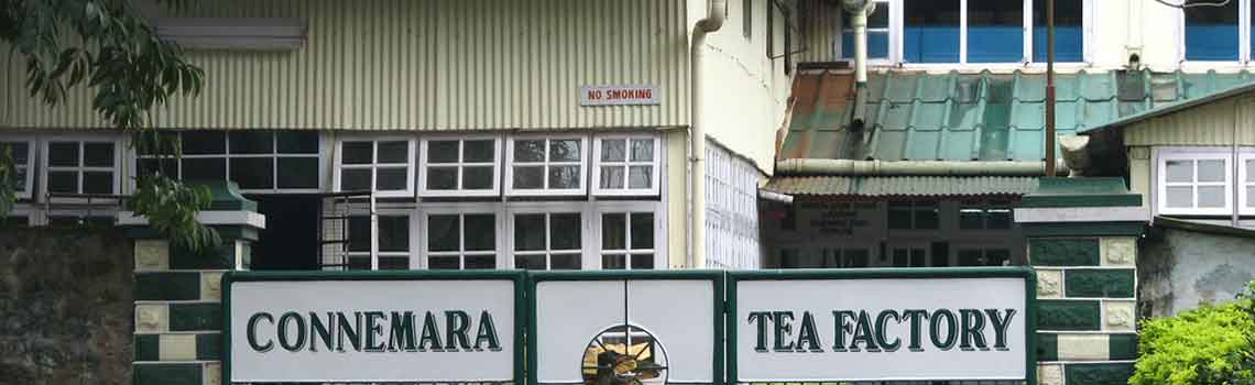 Connemara Tea Factory