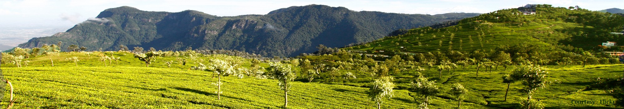 Coonoor