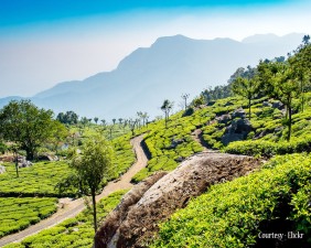 Coonoor