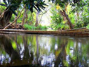 coorg