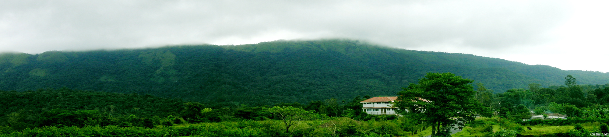 Coorg