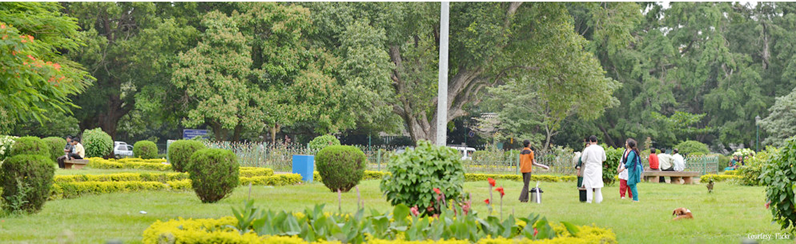 Cubbon Park