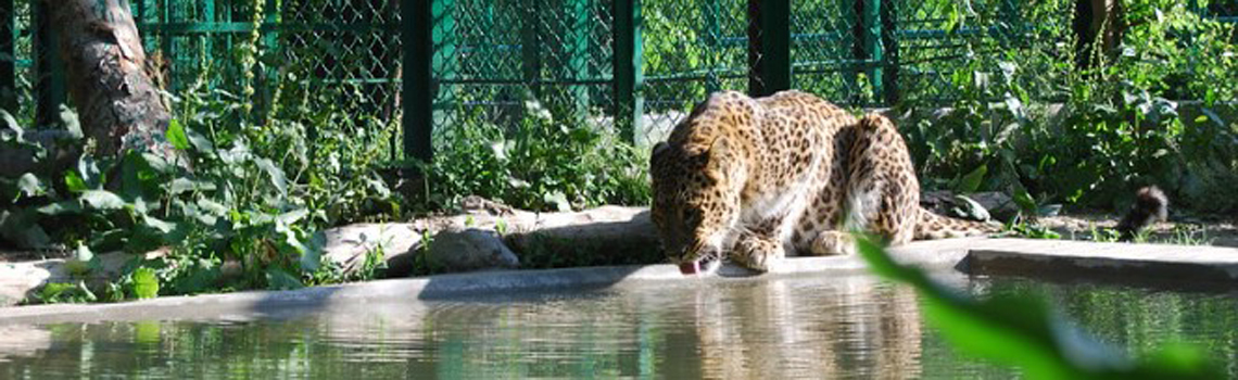 Dachigam National Park