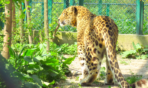 Dachigam National Park