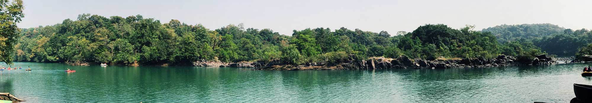 Dandeli