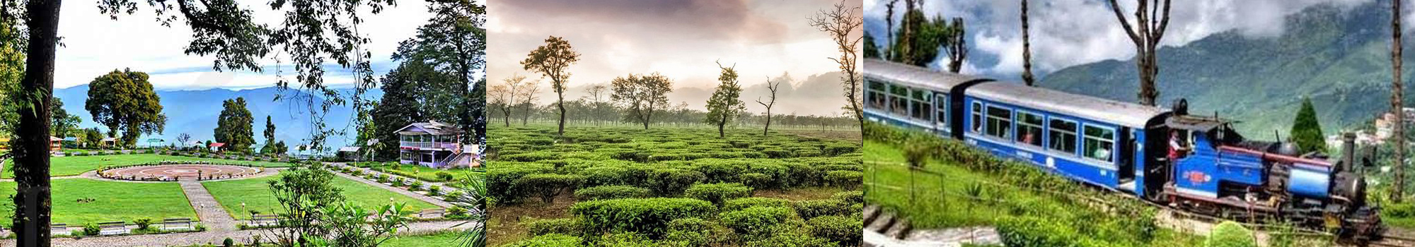 Darjeeling