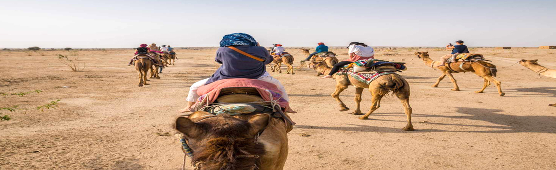 Desert Camel Safari