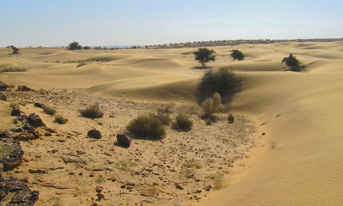 Desert National Park