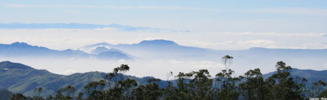 Doddabetta Peak Ooty