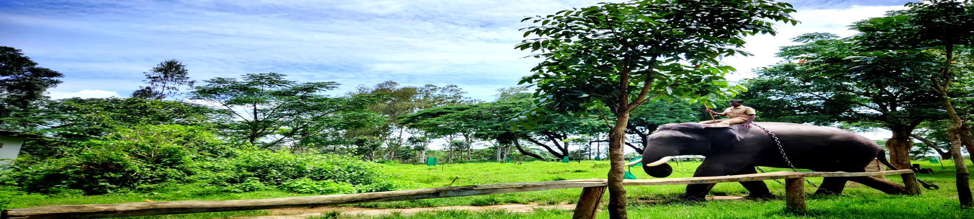 Dubare Elephant Camp