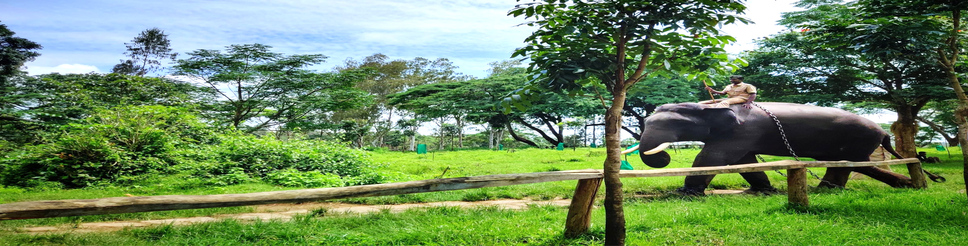 Dubare Elephant Camp