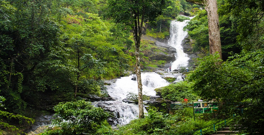 Iruppu falls or Irupu falls or Irpu falls, Coorg - Falls timings, entry fees, nearby places & things to do