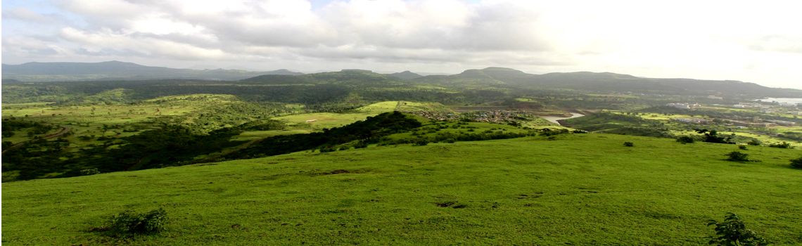 Echo Point Hill Saputara