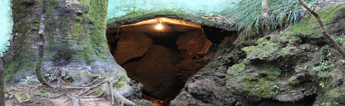 Eco Cave Garden